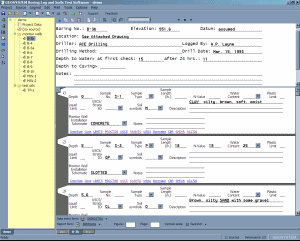 Data Entry Screen
